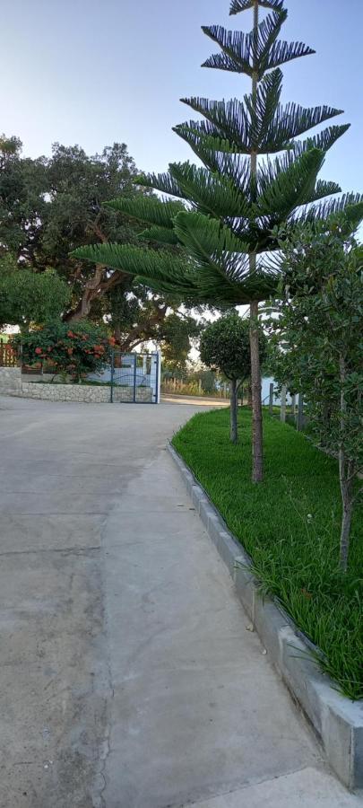 Vila Monte Da Vinha Nova Santiago do Cacém Exteriér fotografie