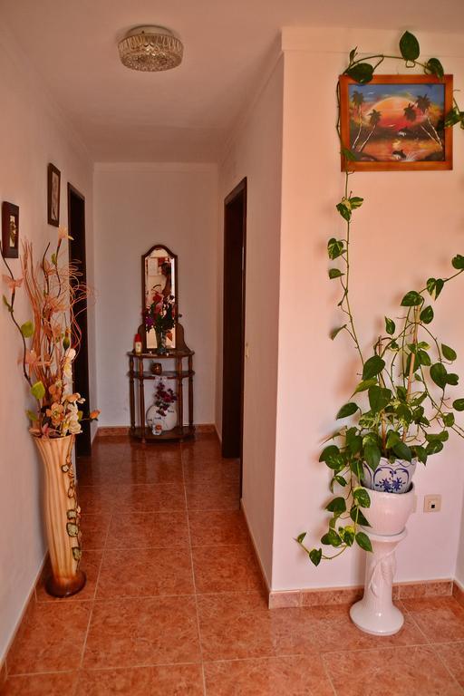 Vila Monte Da Vinha Nova Santiago do Cacém Exteriér fotografie
