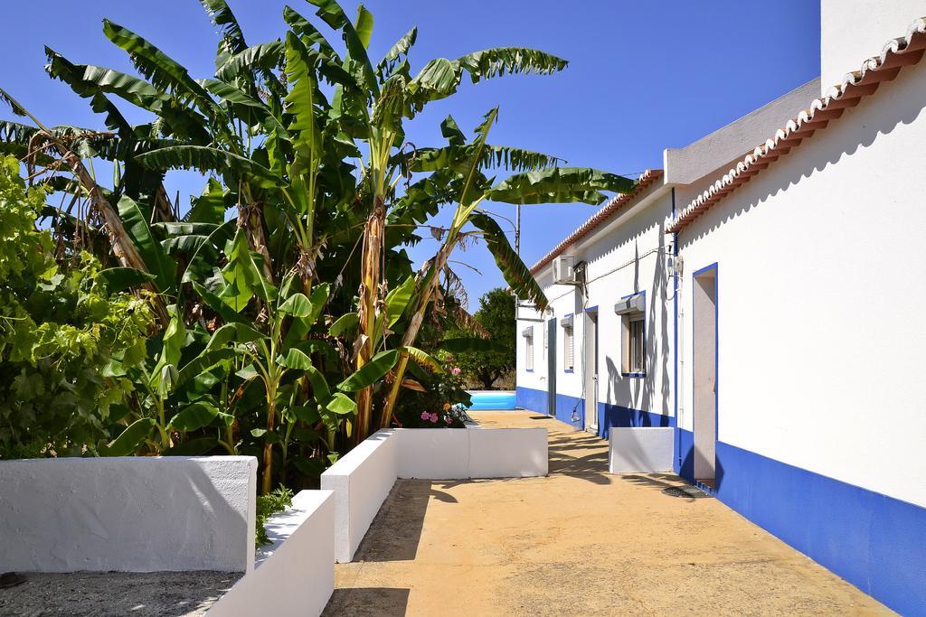 Vila Monte Da Vinha Nova Santiago do Cacém Exteriér fotografie